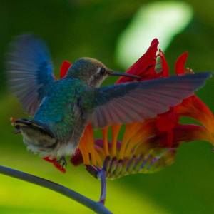 Meet your Posher, Pamela